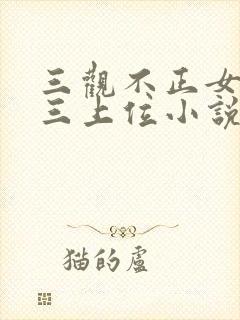 三观不正女主小三上位小说