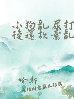 小狗乱尿打了之后还故意乱拉