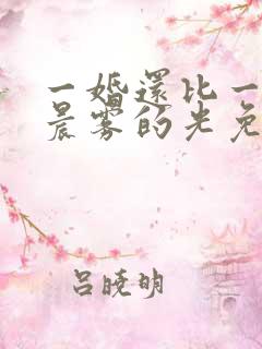 一婚还比一婚高晨雾的光免费阅读