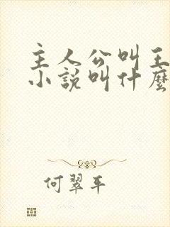 主人公叫王峰的小说叫什么名字