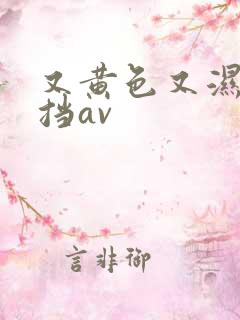 又黄色又湿无遮挡av