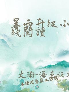 暴雨升级小说在线阅读