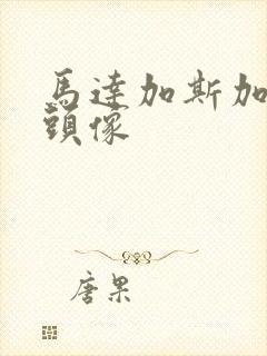 马达加斯加企鹅头像