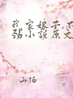 我家娘子,不对劲小说原文