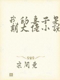 我的妻子是大乘期大佬小说版