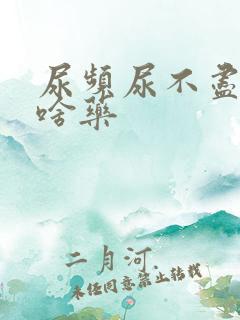 尿频尿不尽吃点啥药