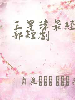 王星玮最经典十部短剧