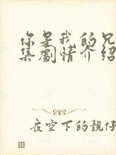 你是我的兄弟分集剧情介绍