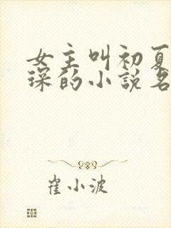 女主叫初夏顾霆琛的小说名字