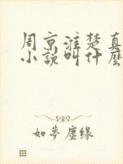 周京淮楚真原著小说叫什么名字