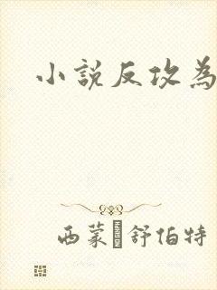 小说反攻为攻