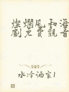 灿烂风和海电视剧免费观看