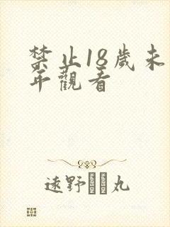 禁止18岁未成年观看