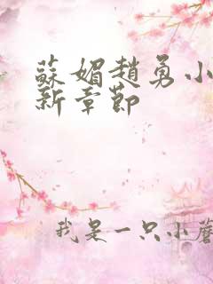 苏媚赵勇小说最新章节