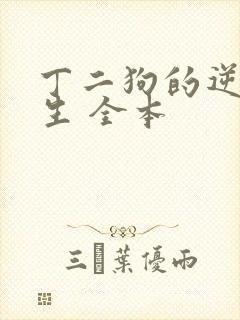 丁二狗的逆袭人生 全本