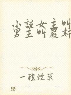 小说女主叫宋栀男主叫严斯年