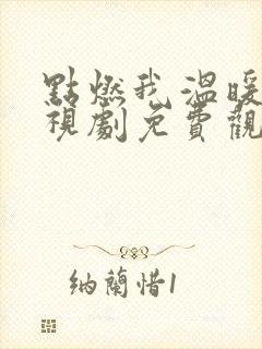 点燃我温暖你电视剧免费观看全集36