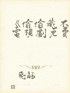 《偷偷藏不住》电视剧免费