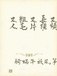 又粗又长又黄真人毛片视频