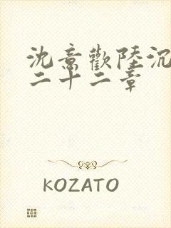 沈意欢陆沉舟第二十二章