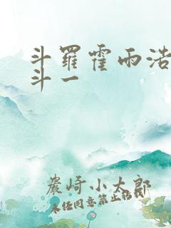 斗罗霍雨浩穿越斗一