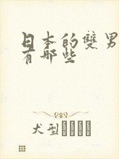 日本的双男主剧有哪些