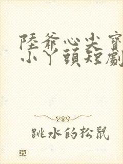 陆爷心尖宝独宠小丫头短剧