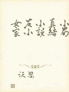 女友小真小真一家小说结局