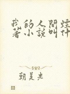 我的人间烟火原著小说叫什么