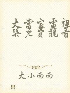 大当家电视剧全集免费观看高清