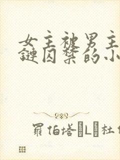 女主被男主用锁链囚禁的小说