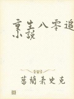 重生八零追糙汉小说