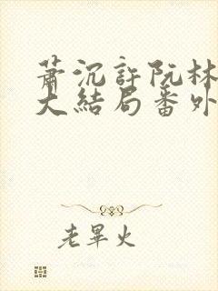 萧沉许阮林依然大结局番外