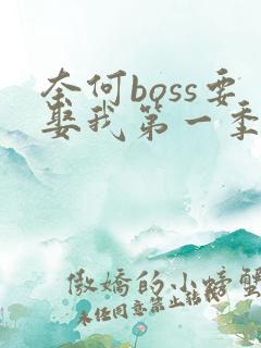 奈何boss要娶我第一季免费版高清