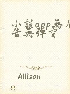 小说app无广告无弹窗