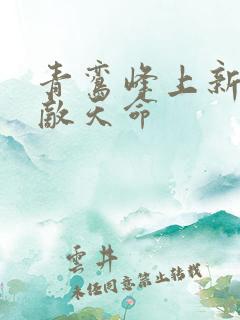 青鸾峰上新书无敌天命