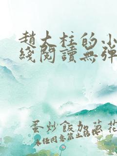 赵大柱的小说在线阅读无弹窗