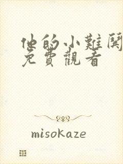 他的小难哄短剧免费观看