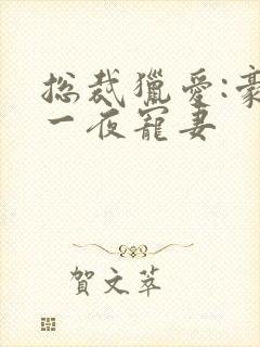 总裁猎爱:豪门一夜宠妻