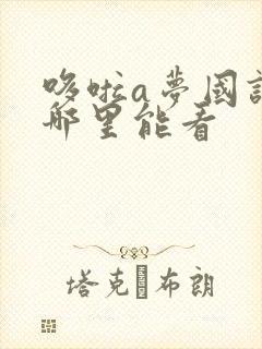 哆啦a梦国语版哪里能看