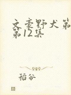 文豪野犬第二季第12集