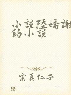 小说陆娇谢云瑾的小说