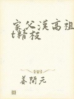 家父汉高祖txt精校