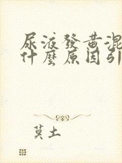 尿液发黄混浊是什么原因引起的