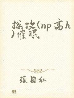 总攻(np高h)催眠