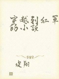 穿越到红军时期的小说