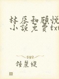 林辰和顾悦兮的小说免费txt