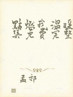 点燃我温暖你全集免费完整版