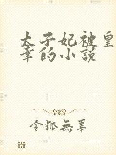 太子妃被皇上宠幸的小说