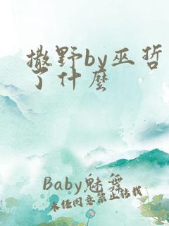 撒野by巫哲讲了什么